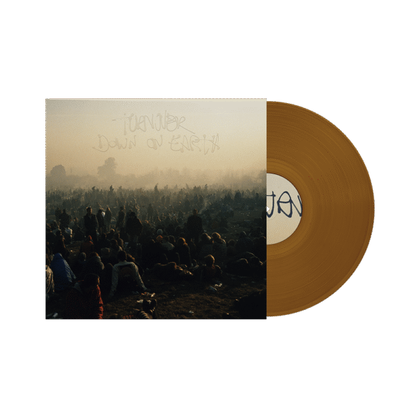 Down On Earth 12" Vinyl - Bronze